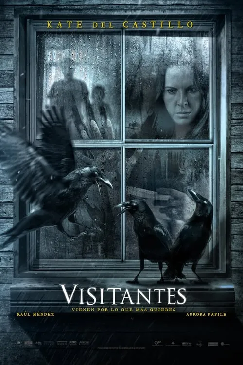 Visitors (movie)