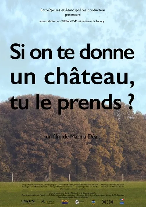 Si on te donne un château, tu le prends? (movie)