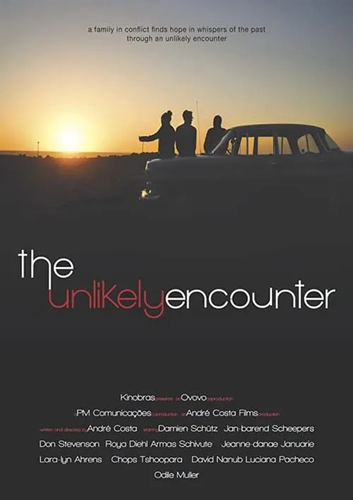 The Unlikely Encounter (фильм)