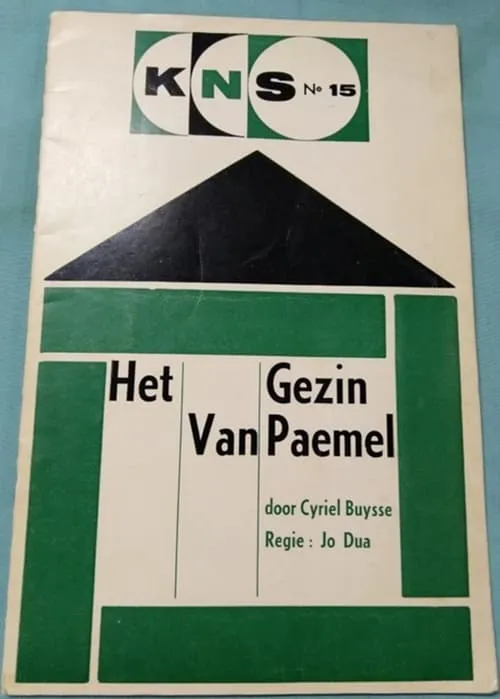 Het gezin van Paemel (фильм)