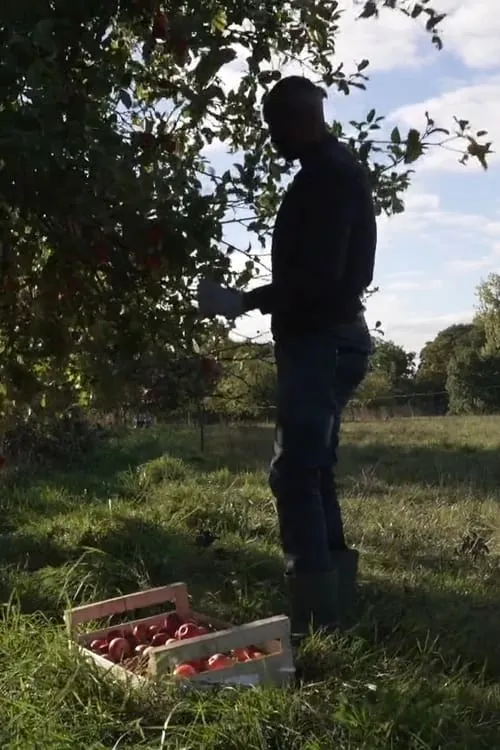 C’est pas parce qu’on est dans la galère qu’on doit mal bouffer (фильм)