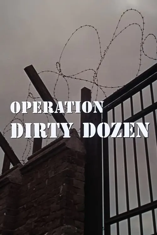 Operation Dirty Dozen (movie)