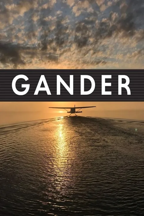 Gander International: The Airport in the Middle of Nowhere (фильм)