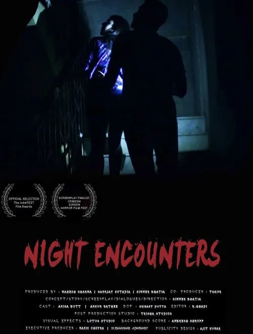 Night Encounters (movie)