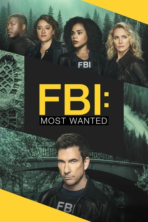 FBI: Most Wanted (series)