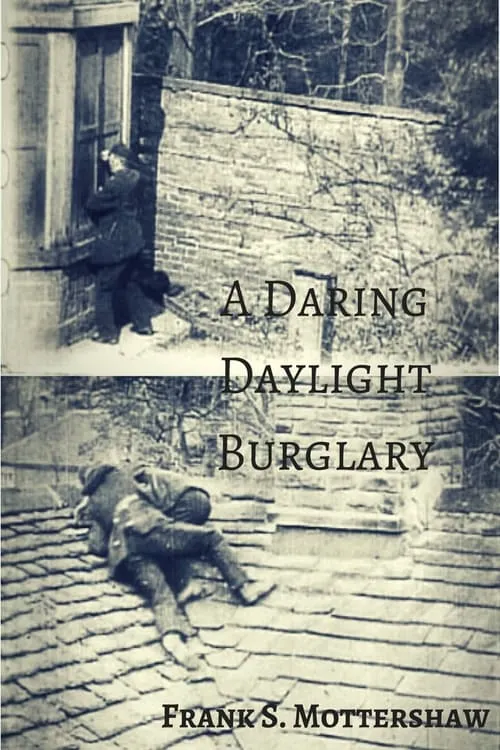 A Daring Daylight Burglary (фильм)