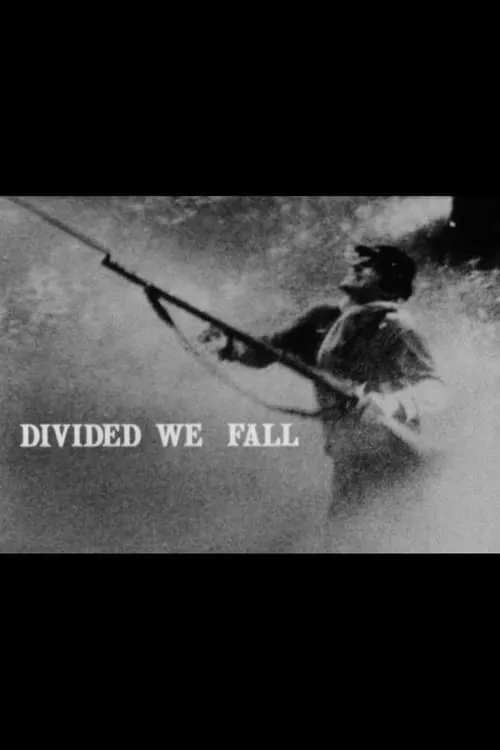 Divided We Fall (фильм)