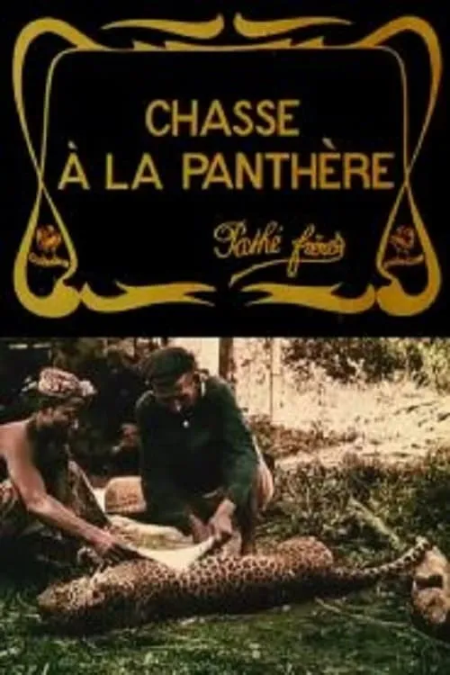 Hunting the Panther (movie)