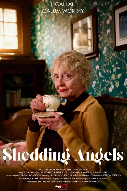 Shedding Angels (movie)