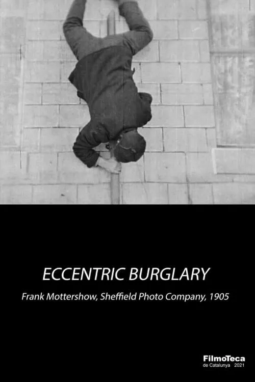 An Eccentric Burglary