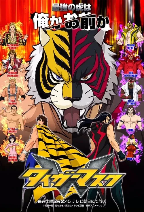 Tiger Mask W (series)