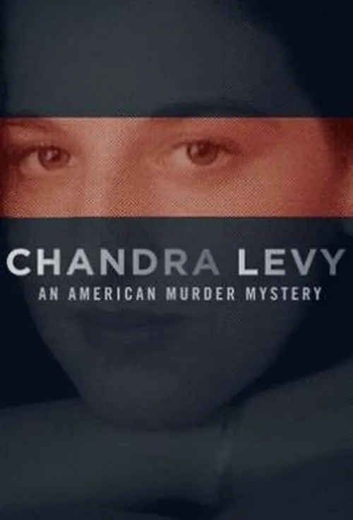 Chandra Levy: An American Murder Mystery (сериал)