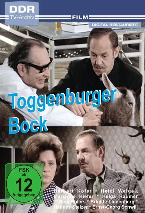 Toggenburger Bock