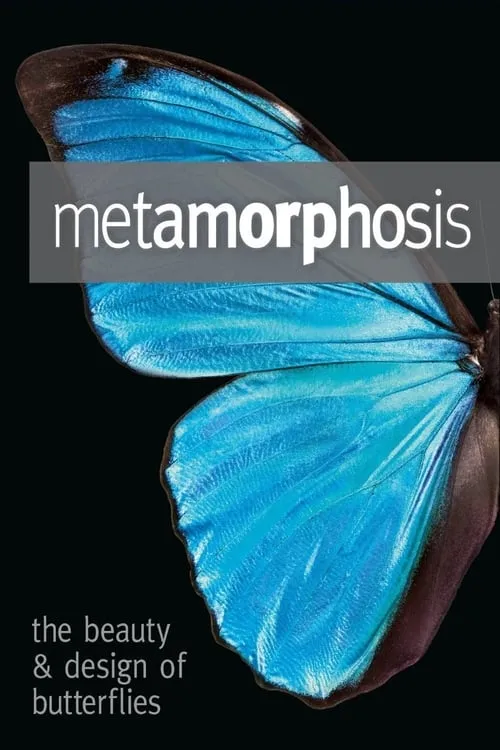 Metamorphosis: The Design and Beauty of Butterflies (фильм)