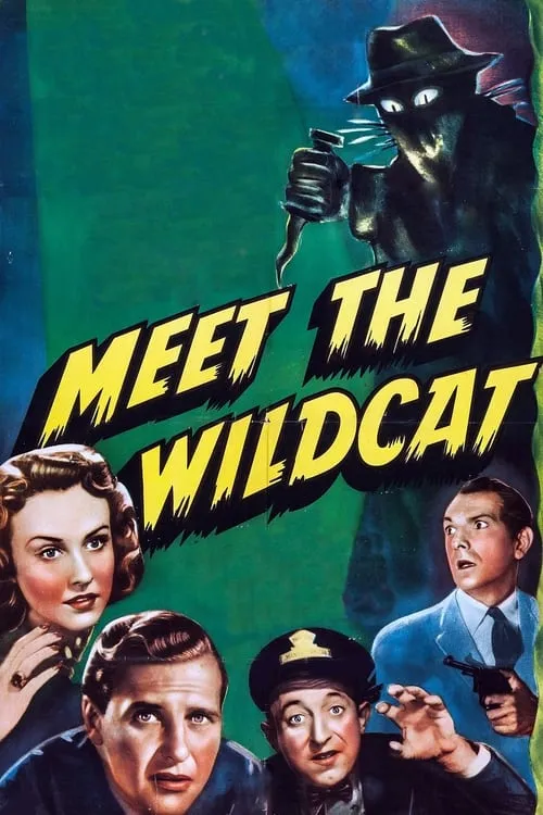 Meet the Wildcat (movie)