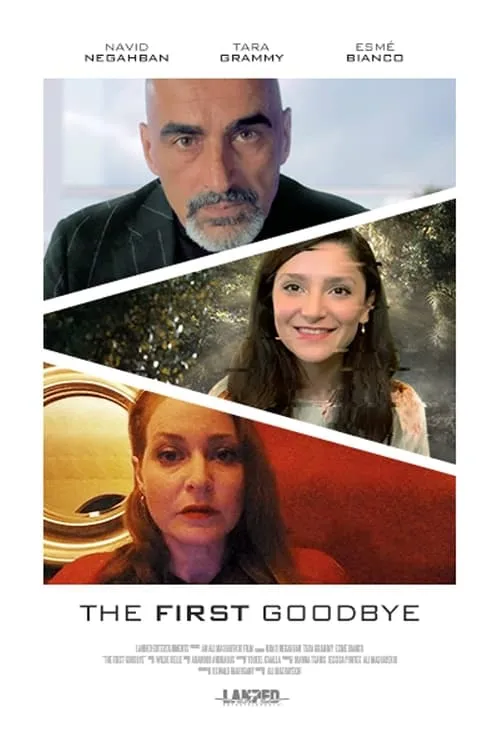 The First Goodbye (movie)