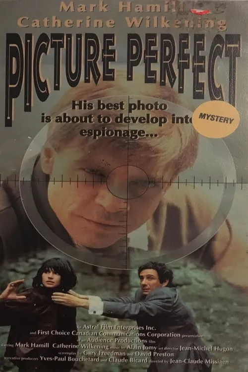 Picture Perfect (movie)