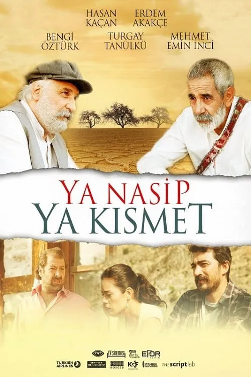 Ya Nasip Ya Kısmet (фильм)