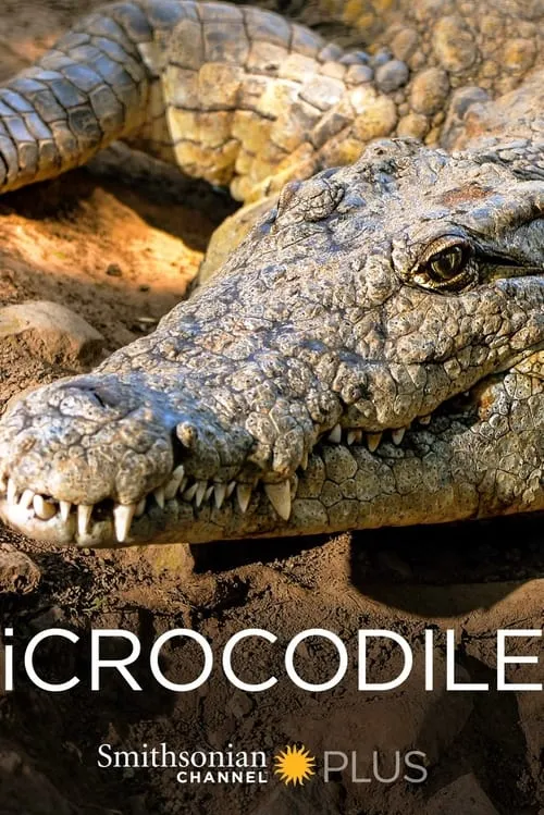 iCrocodile (movie)