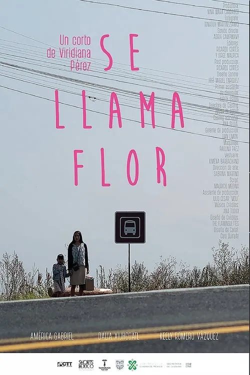 Her Name Is Flor (movie)