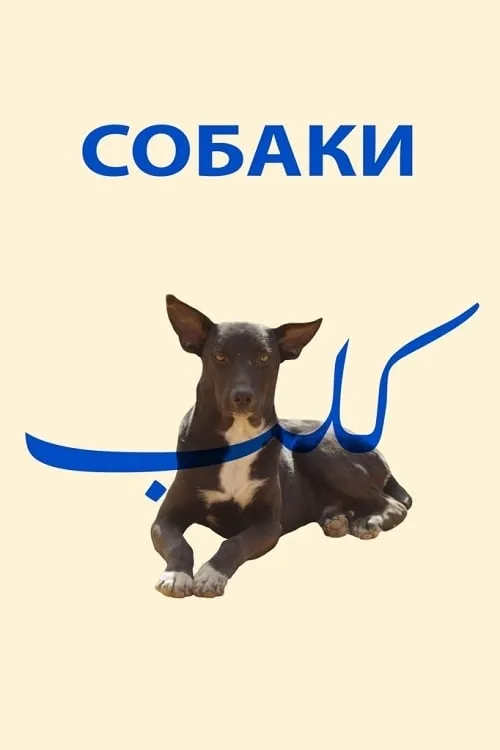 Собаки