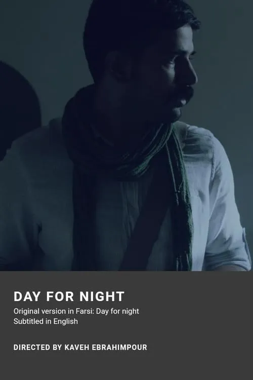 Day for night (фильм)