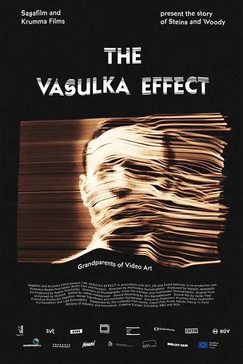 The Vasulka Effect (фильм)