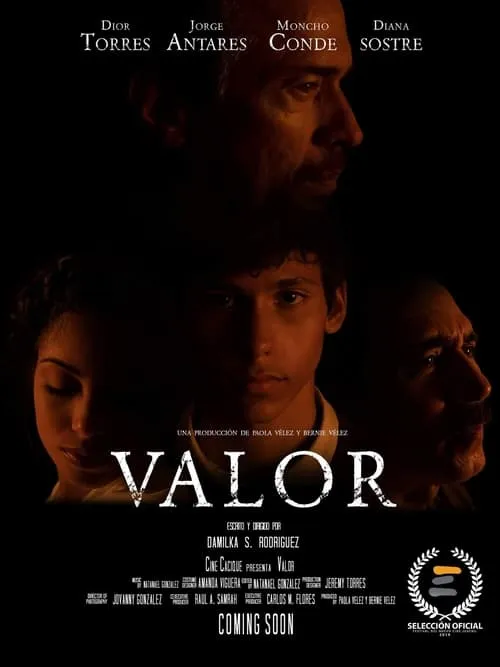 Valor (фильм)