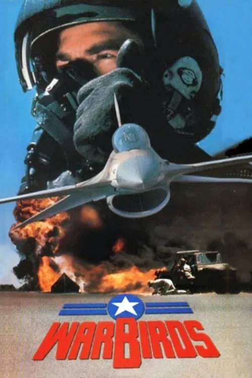 Warbirds (movie)