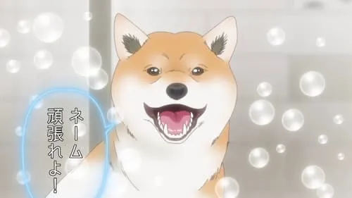 The Comic Artist and the Shiba Inu