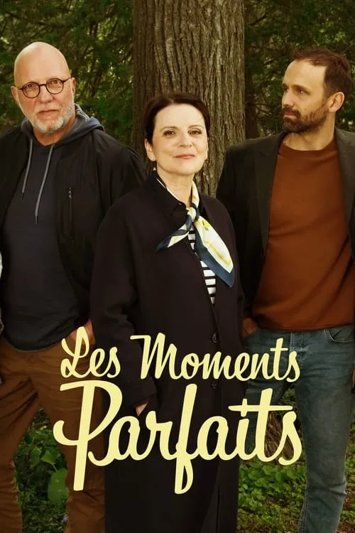 Les moments parfaits (сериал)