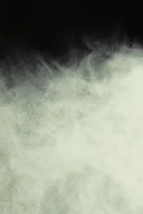 An Example of Lee-Roth Fog, Isolated Under Laboratory Conditions (movie)