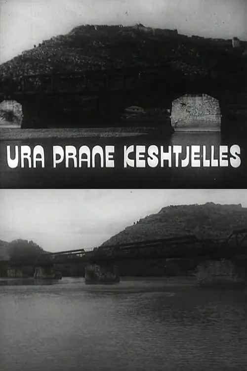 The Bridge Under the Castle (movie)