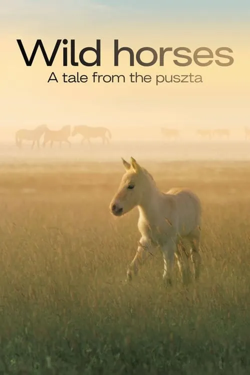 Wild Horses - A Tale From The Puszta (movie)