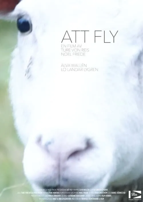 Att fly (movie)