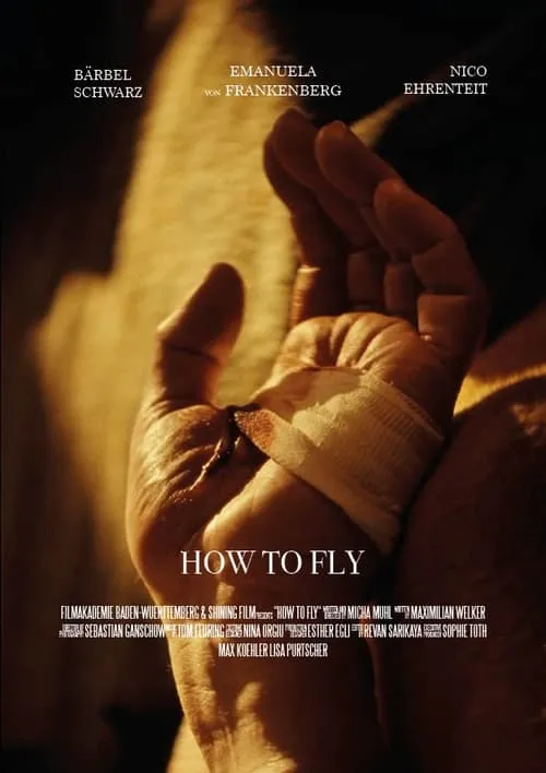 How to Fly (фильм)