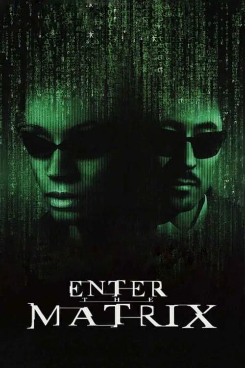 Making 'Enter the Matrix' (movie)