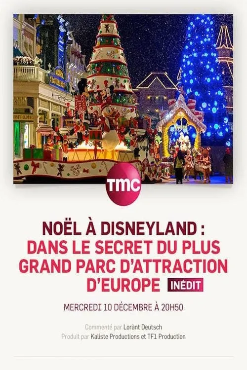 Noël à Disneyland : dans le secret du plus grand parc d'attraction d'Europe (фильм)