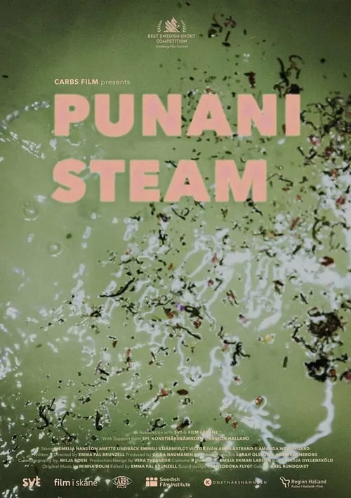 Punani Steam (фильм)