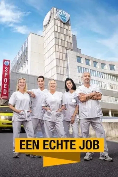 Een Echte Job (series)