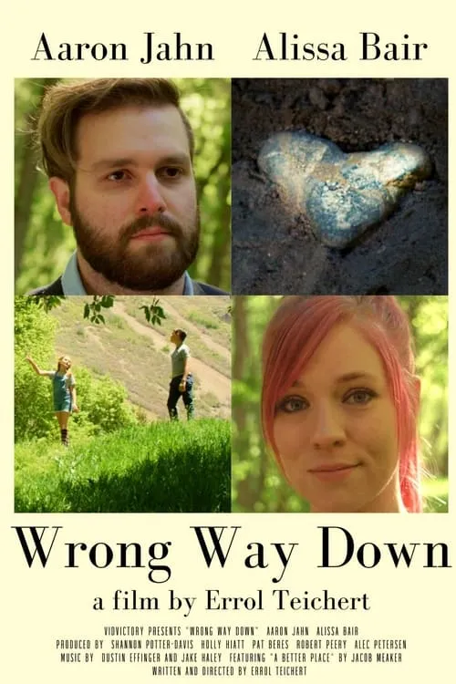 Wrong Way Down (фильм)