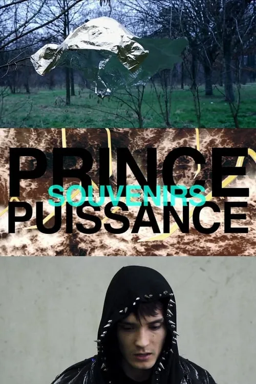 Prince, puissance, souvenirs (movie)