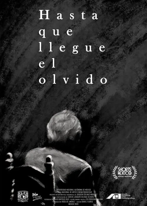 Hasta que llegue el olvido (фильм)