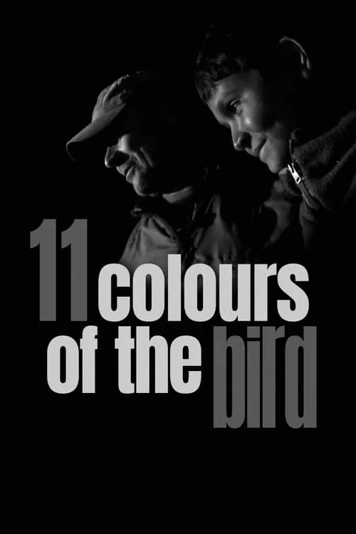 11 Colours of the Bird (movie)