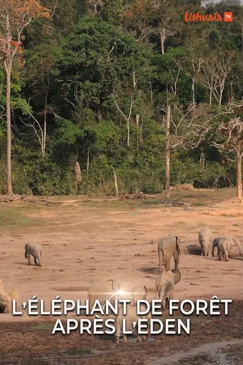 L' éléphant de forêt après l'éden (фильм)