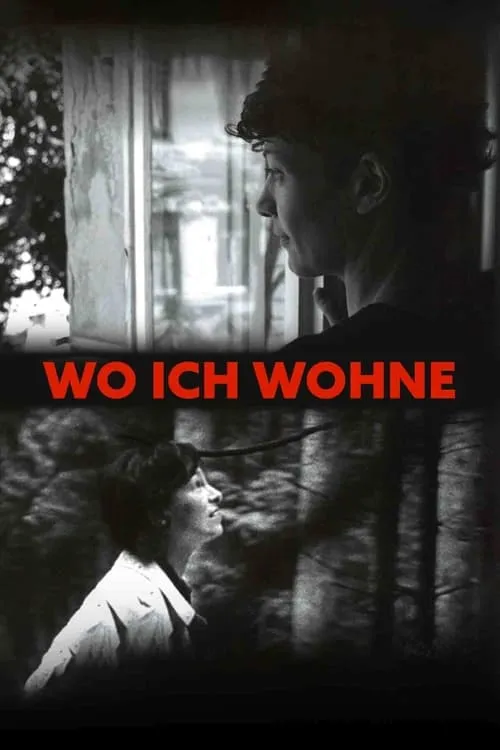 Wo ich wohne. Ein Film für Ilse Aichinger (фильм)