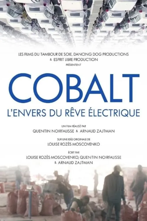 Cobalt, l'envers du rêve électrique (movie)