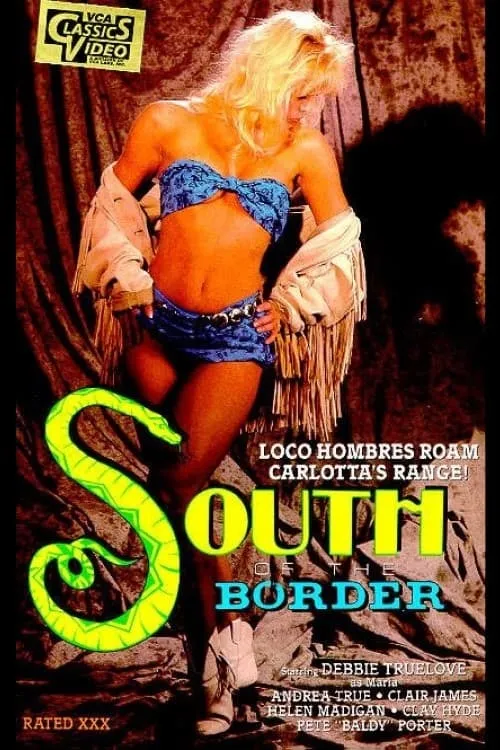 South of the Border (movie)