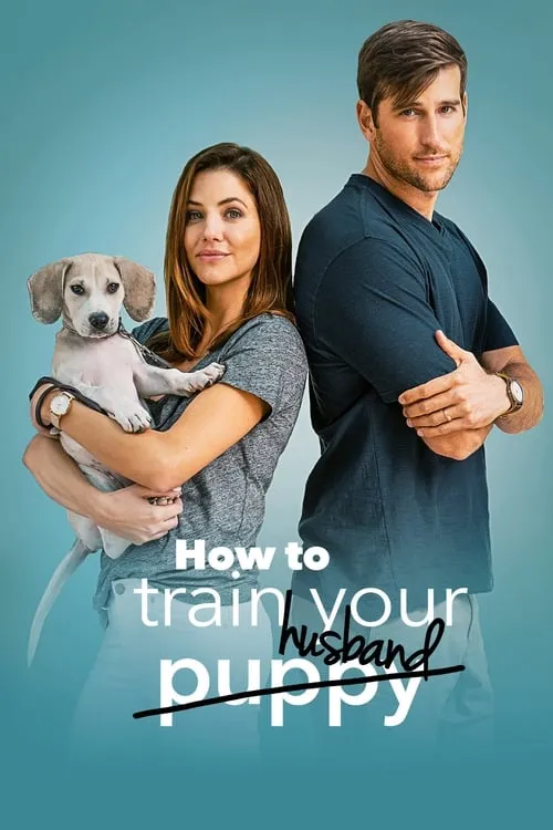 How to Train Your Husband (movie)