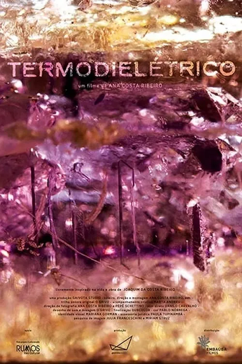 Termodielétrico